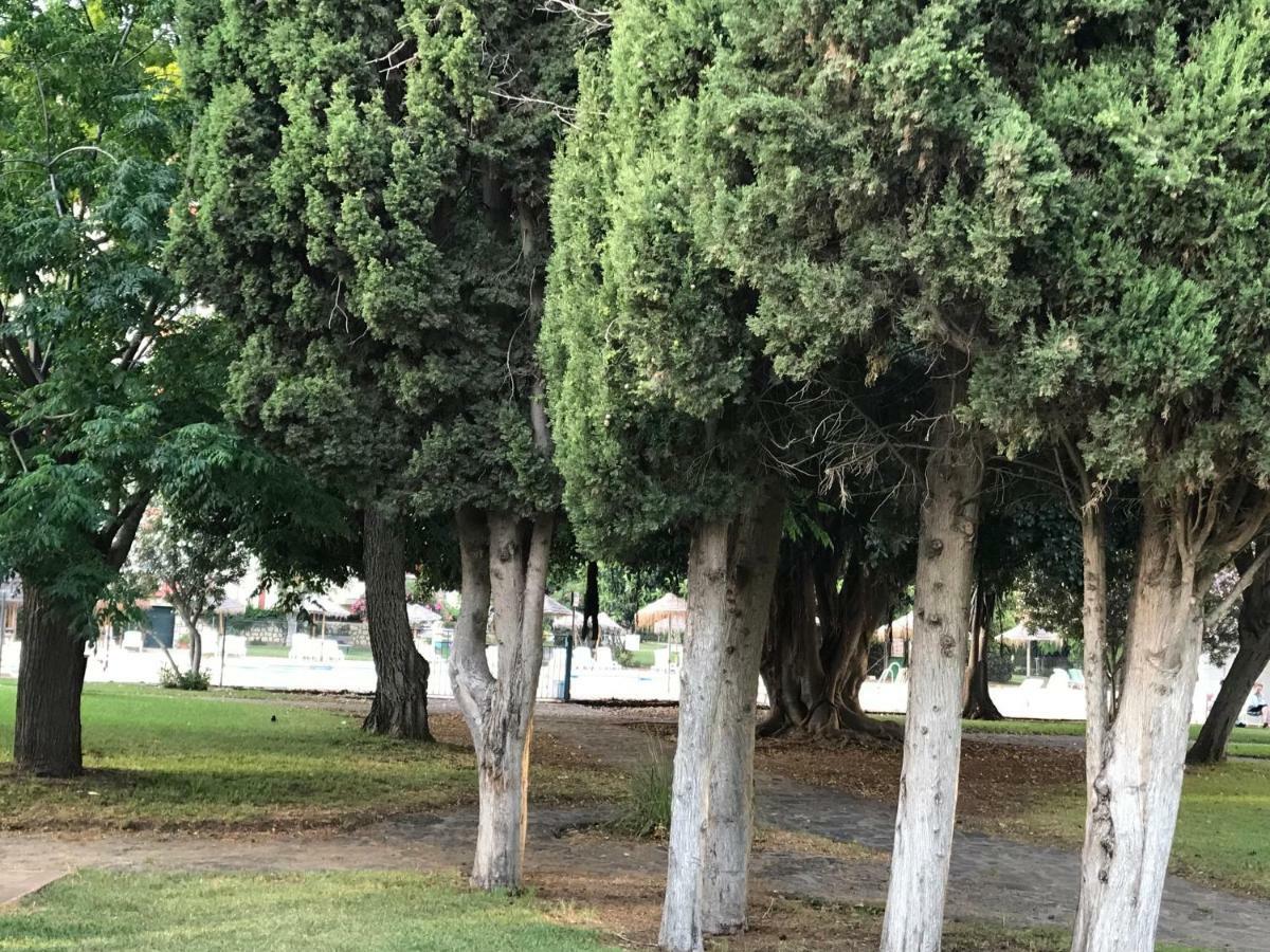 Estudio Vacacional Benalmadena Playa Kültér fotó